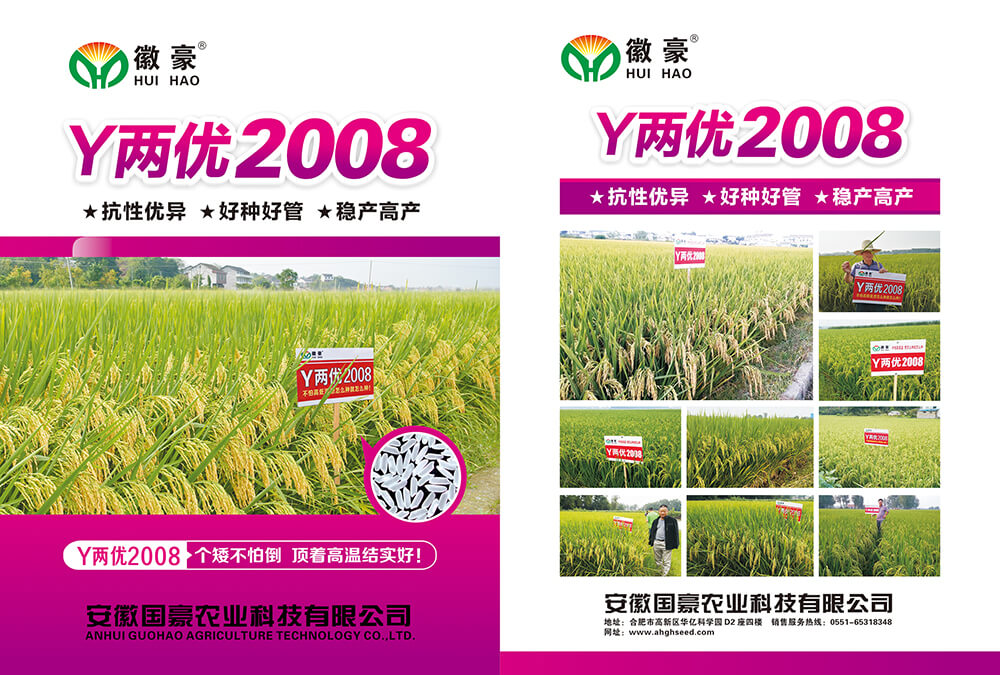 Y两优2008 (1).jpg