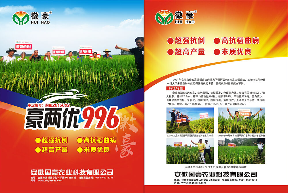 豪两优996 (1).jpg