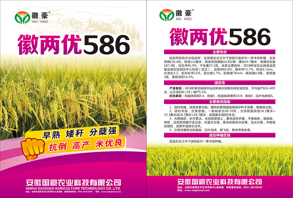 徽两优586 (1).jpg