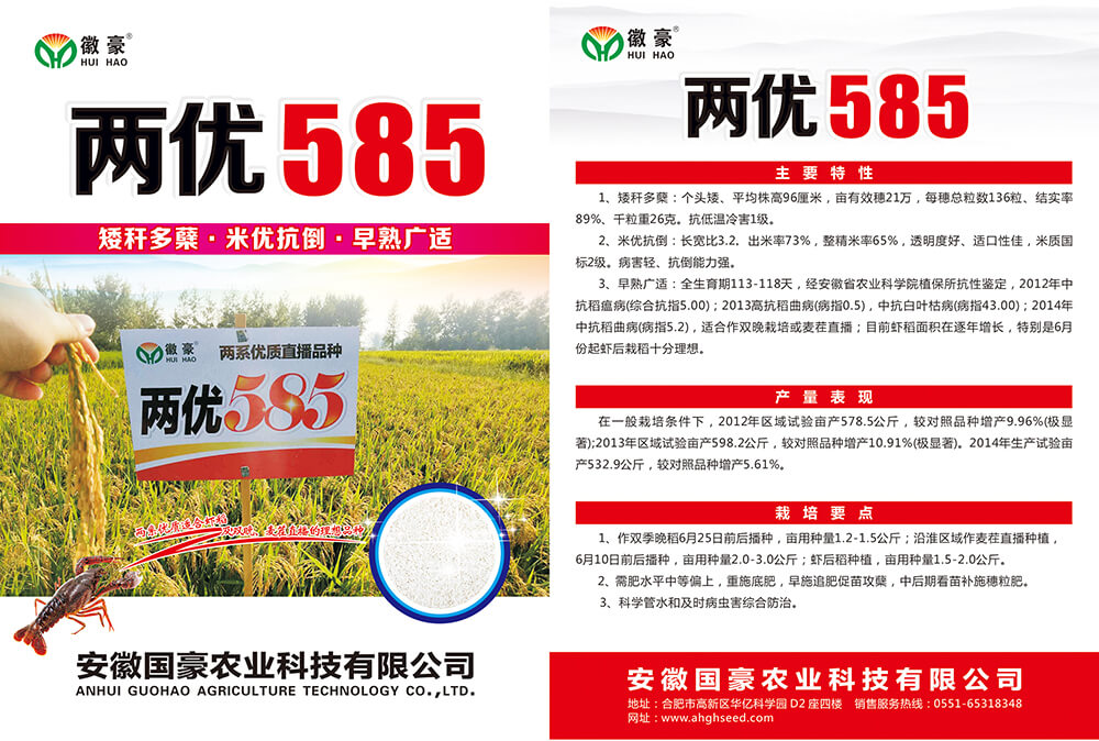 两优585 (1).jpg