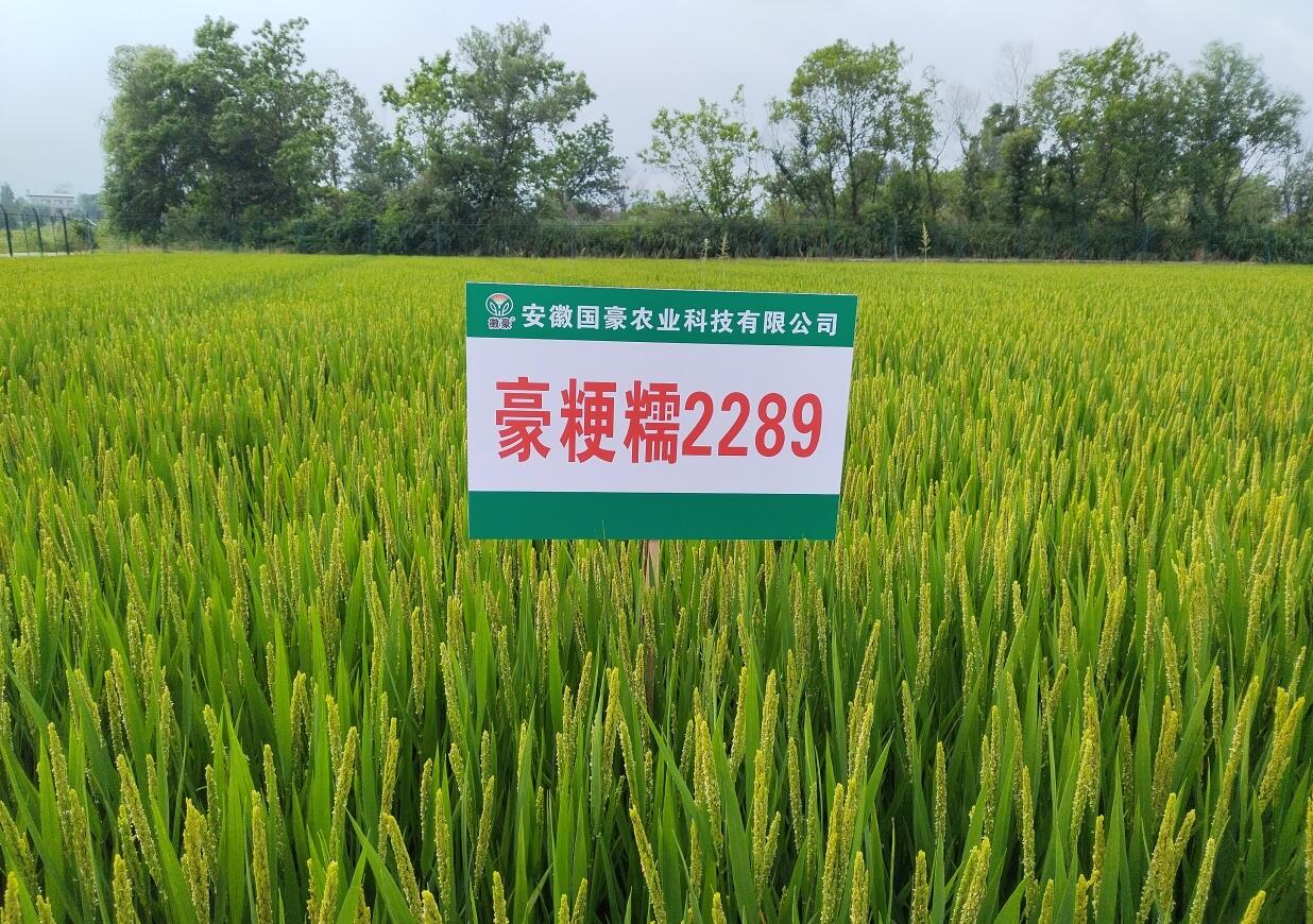 QQ截图20250312144751.jpg