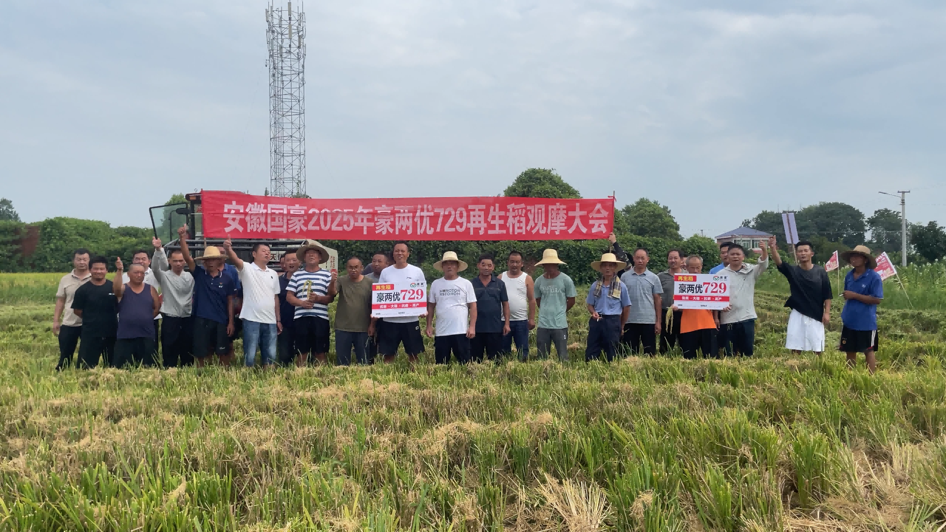 再生稻观摩会(1)(1).png