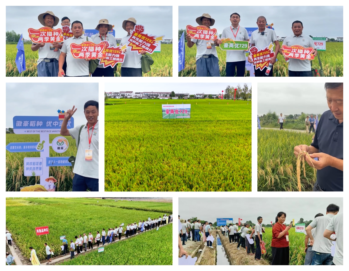 1757905715848808.jpg 未命名.jpg