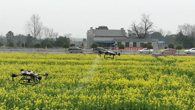 1773651351566170.png 图片1.png