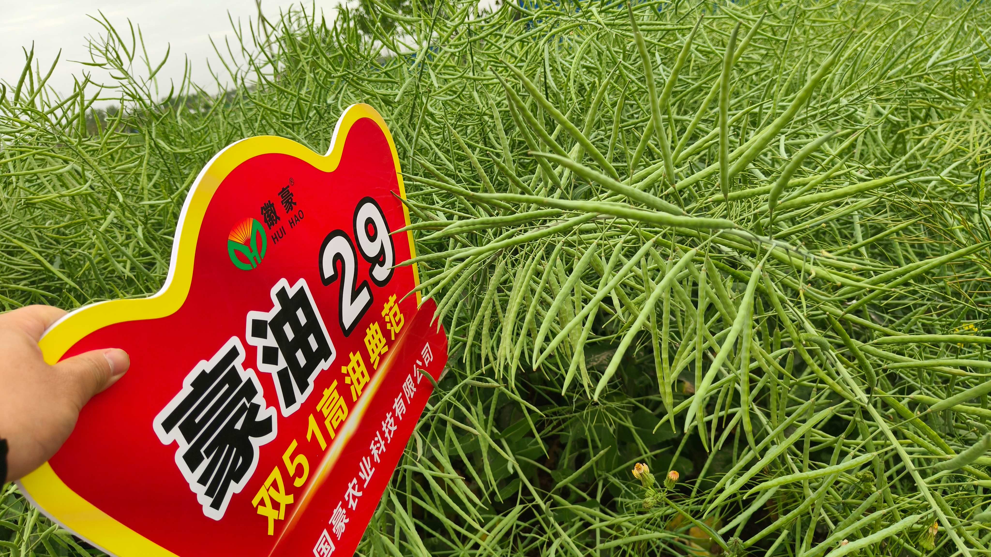 1779411571161887.jpg 微信图片_20260521090150_13_20(1).jpg